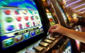 lotosports bet